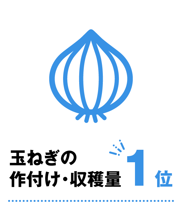 玉ねぎの作付け・収穫量1位