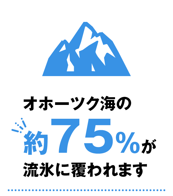 オホーツク海の約75%が流氷に覆われます