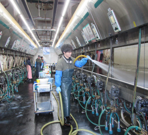 搾乳設備を清掃する男性