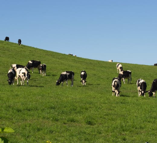 三原さんの農場