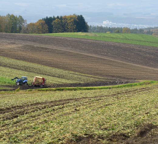 三原さんの農場
